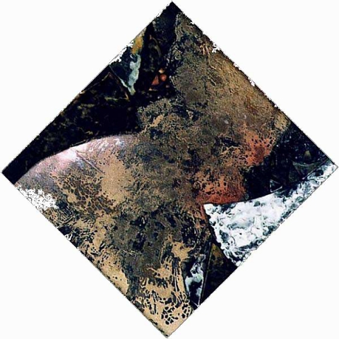 Gianfranco Mascelli   &ldquo;Materia e trasparenza&rdquo;