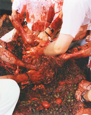 Hermann Nitsch  "Pittura, fotografia e disegni"