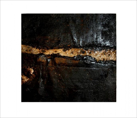 Damiano Quaranta  "omaggio ad Alberto Burri”