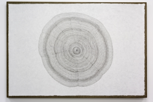 Soltanto un quadro al massimo: Giuseppe Penone e Isa Genzken Soltanto un quadro al massimo: Giuseppe Penone e Isa Genzken