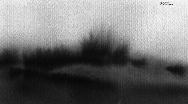 Massimo Di Gaetano. Il linguaggio della materia Massimo Di Gaetano. Il linguaggio della materia