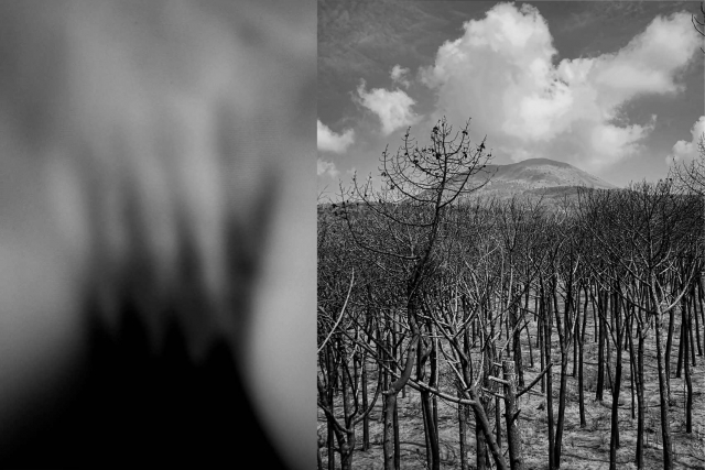 Ciro Ciliberti "Vesuvius / Apocalissi Erotiche"