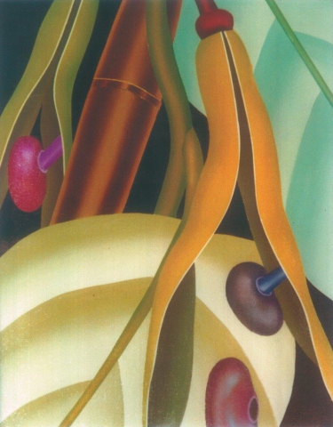 Fernando Rea "La natura ritrovata" Fernando Rea "La natura ritrovata"