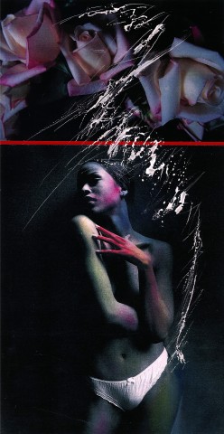 fernando rea.  l&rsquo;eros nascosto