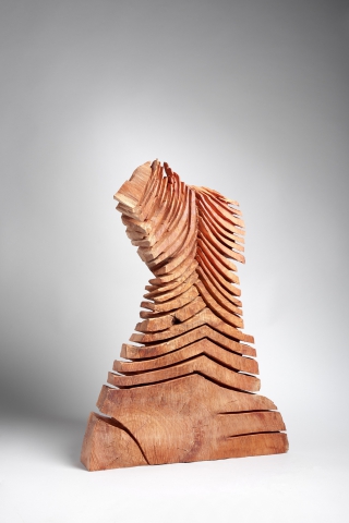 David Nash. sculture e disegni David Nash. sculture e disegni