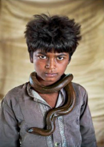 Steve McCurry "Animals" Steve McCurry "Animals"