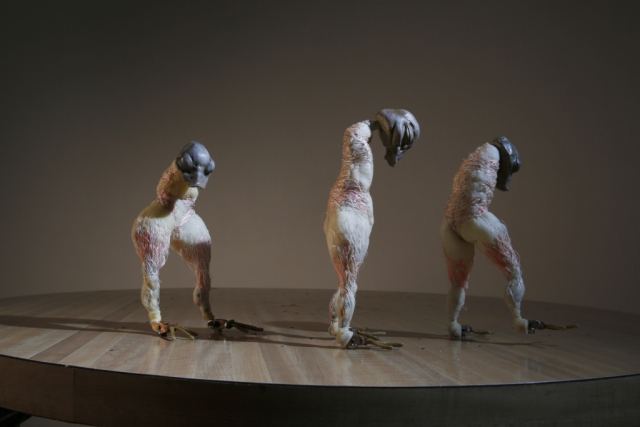 Storie americane: Stephanie Williams, Naoko Wowsugi, Elizabeth Acevedo