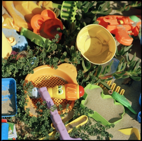 Serafino Amato e William Pettit "Landscapes"