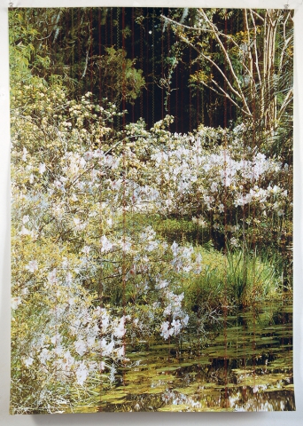 Stefano Arienti "Opere Scelte '80 - '90 - 2000"