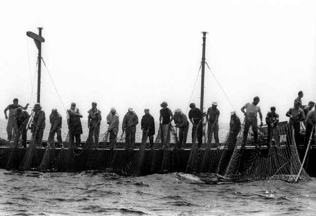 Stefano Fogato. &ldquo;tunnina frisca&rdquo;, i tonnaroti di favignana