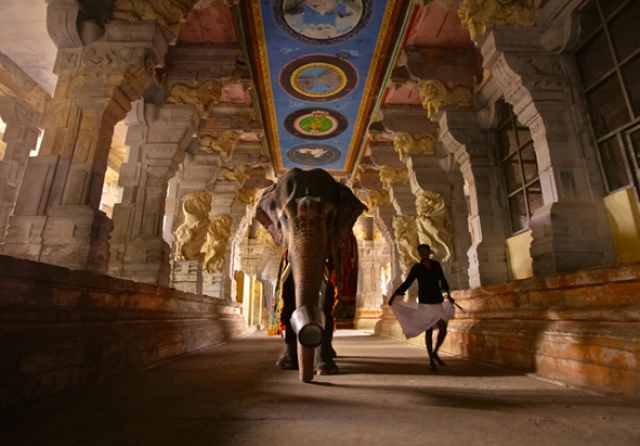 Bruno Tamiozzo “Colours of India” Bruno Tamiozzo “Colours of India”