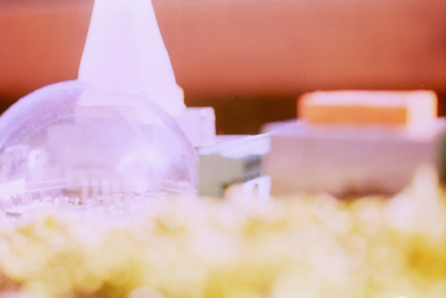 Susanne Schuricht/Donatella Tassone