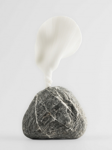 Lorenza Morandotti  "Transformazioni"