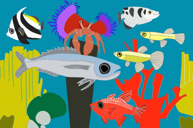 Giulia Maglionico &ldquo;Acquadri&rdquo;