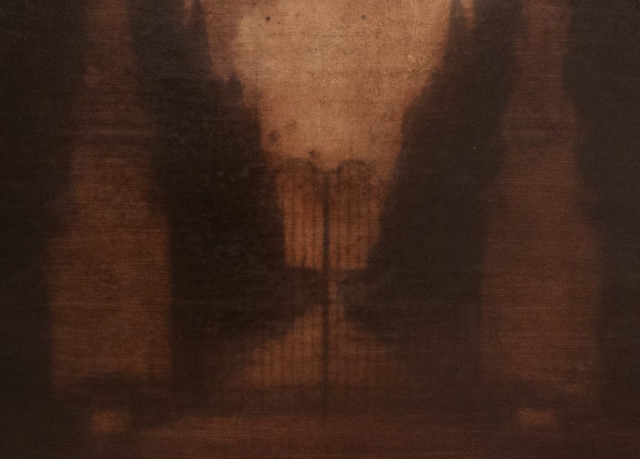 Michele Parisi  "Al sole misuro i passi"