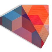 Sandi Renko "Il fascino discreto della geometria"