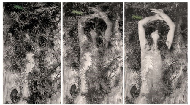 Maria Erovereti  "Immanenze 1995"