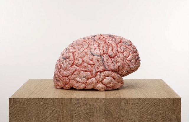 Jan Fabre "The Rhythm of the Brain"