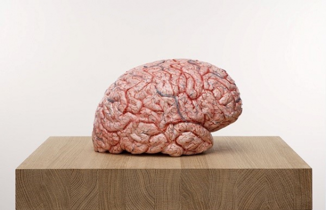 Jan Fabre "The Rhythm of the Brain" Jan Fabre "The Rhythm of the Brain"