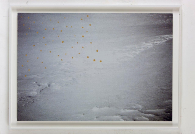 Patrizia Molinari &ldquo;Chiaro come la luce&rdquo;