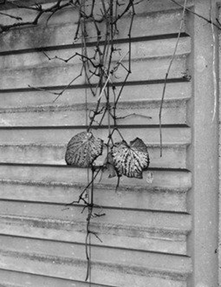 Michele Buda - One Day in Berlin Michele Buda - One Day in Berlin