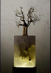 Rudy Cremonini, Giulia Manfredi "Awakening" Rudy Cremonini, Giulia Manfredi "Awakening"