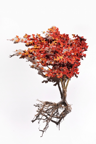 Annal&ugrave; - Nagatani | Doppia mostra personale