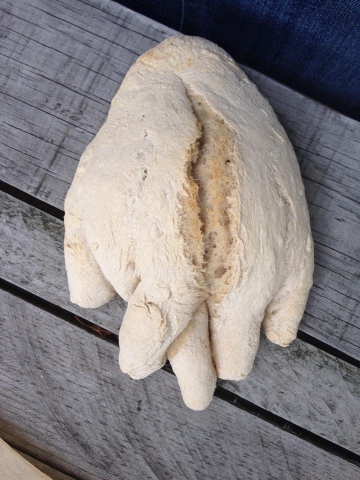 Lorenzo Scotto Di Luzio. Pane al Pane