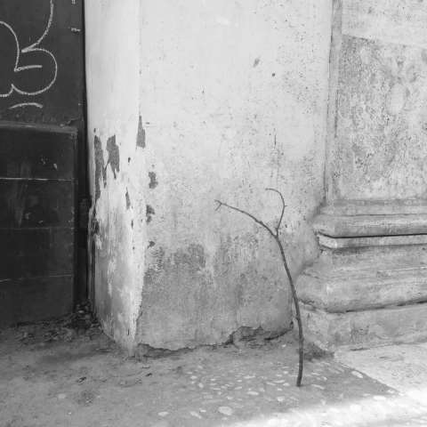 Ruann Coleman. Found: Rome