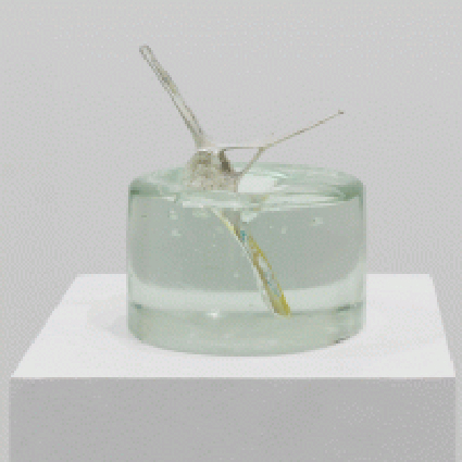 Elena Mazzi "Becoming with and unbecoming with" Elena Mazzi "Becoming with and unbecoming with"