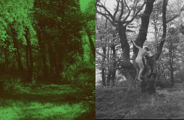 Elisabeth H&ouml;lzl - Gina Klaber Thusek "Eliografie Incomplete"