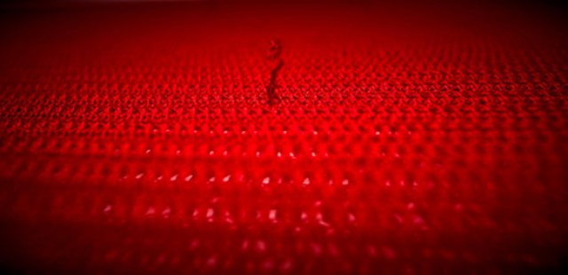 Nadia Nespoli  "Offerte di tempo "