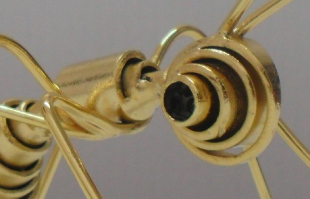 Carlo Pecorelli  "Uomini e insetti"