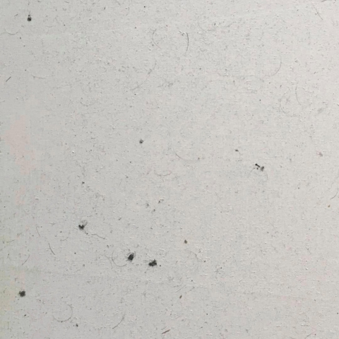 Piero Chiariello "Wallpapers for your phone #6"