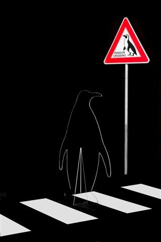Gabriella Di Trani - Penguin crossing
