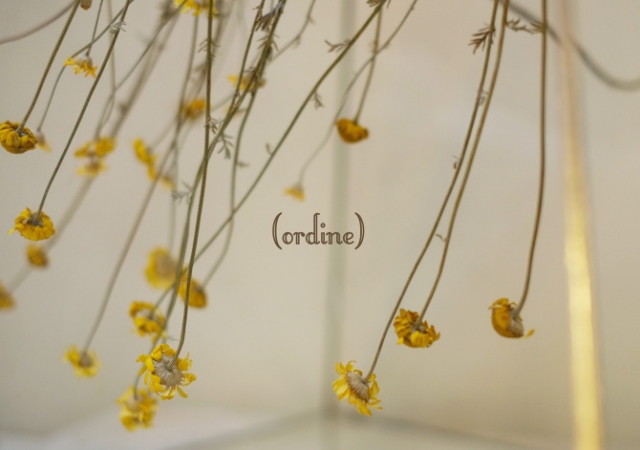 Martina Angius. Ordine Martina Angius. Ordine
