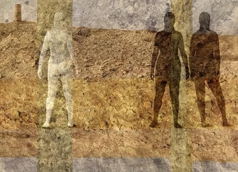 Brunella Longo. Nelle terre della percezione e del pensiero