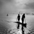 Sebastião Salgado "Genesi"