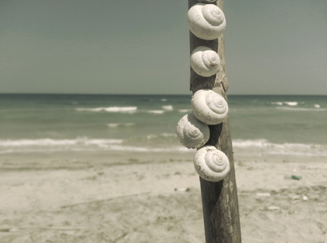 Massimo Ruiu.&ldquo;Fragile&rdquo;