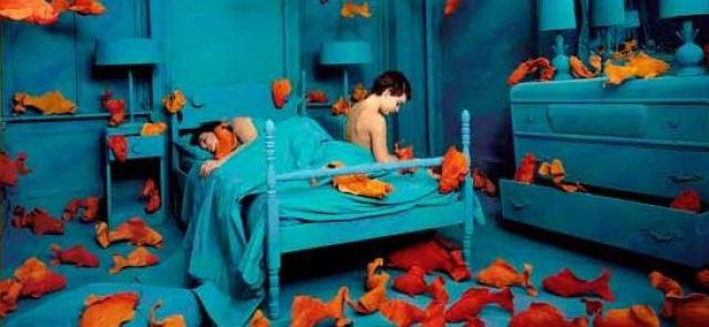 Sandy Skoglund  "Visioni Ibride"